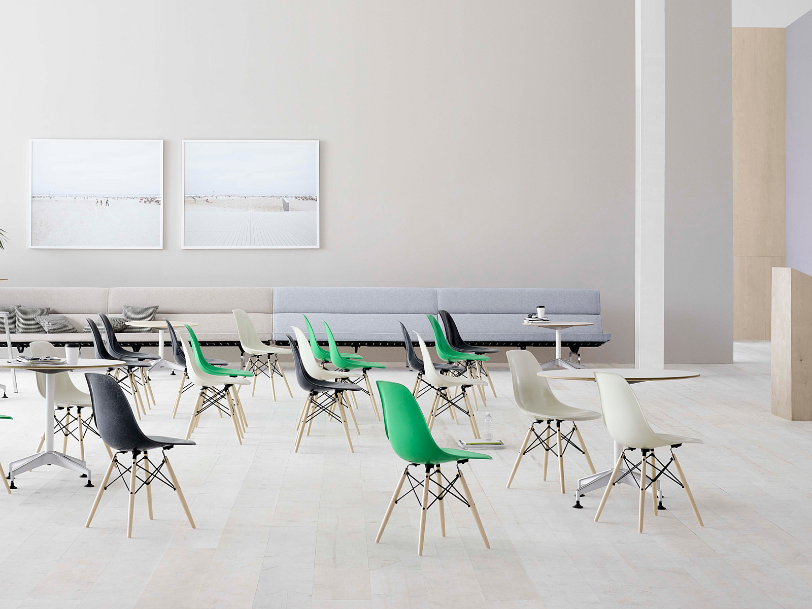 Light room filled with Eames molded chairs in a variety of colors: white, green and dark blue.