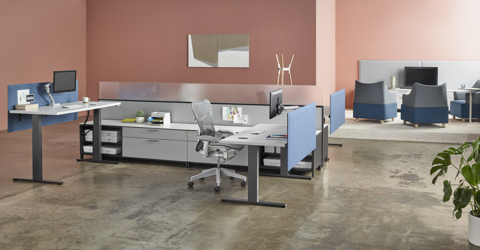 Herman Miller Motia height-adjustable tables in a cluster of workstations. Herman Miller Canvas with storage is down the spline of the stations.
